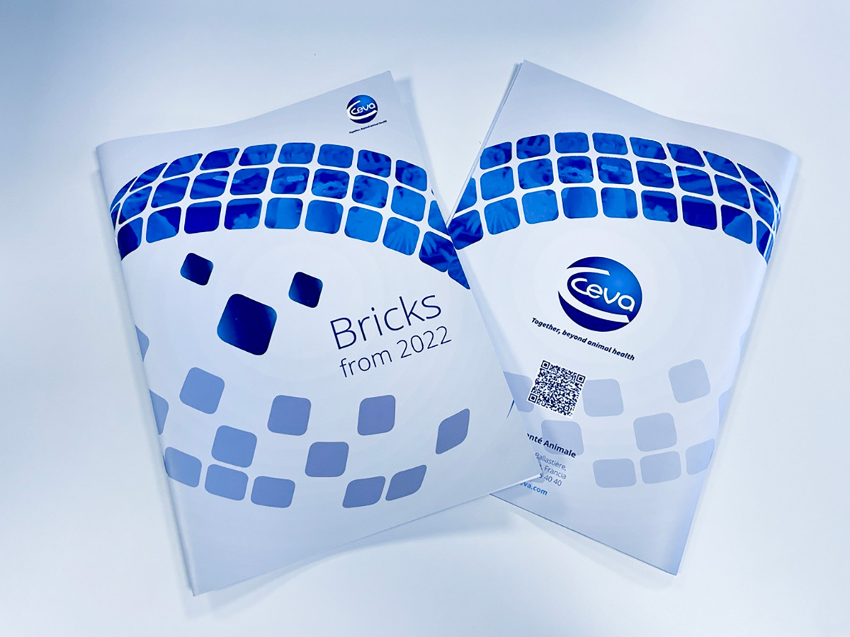 CEVA Salud Animal - Bricks from 2022 (Covers)