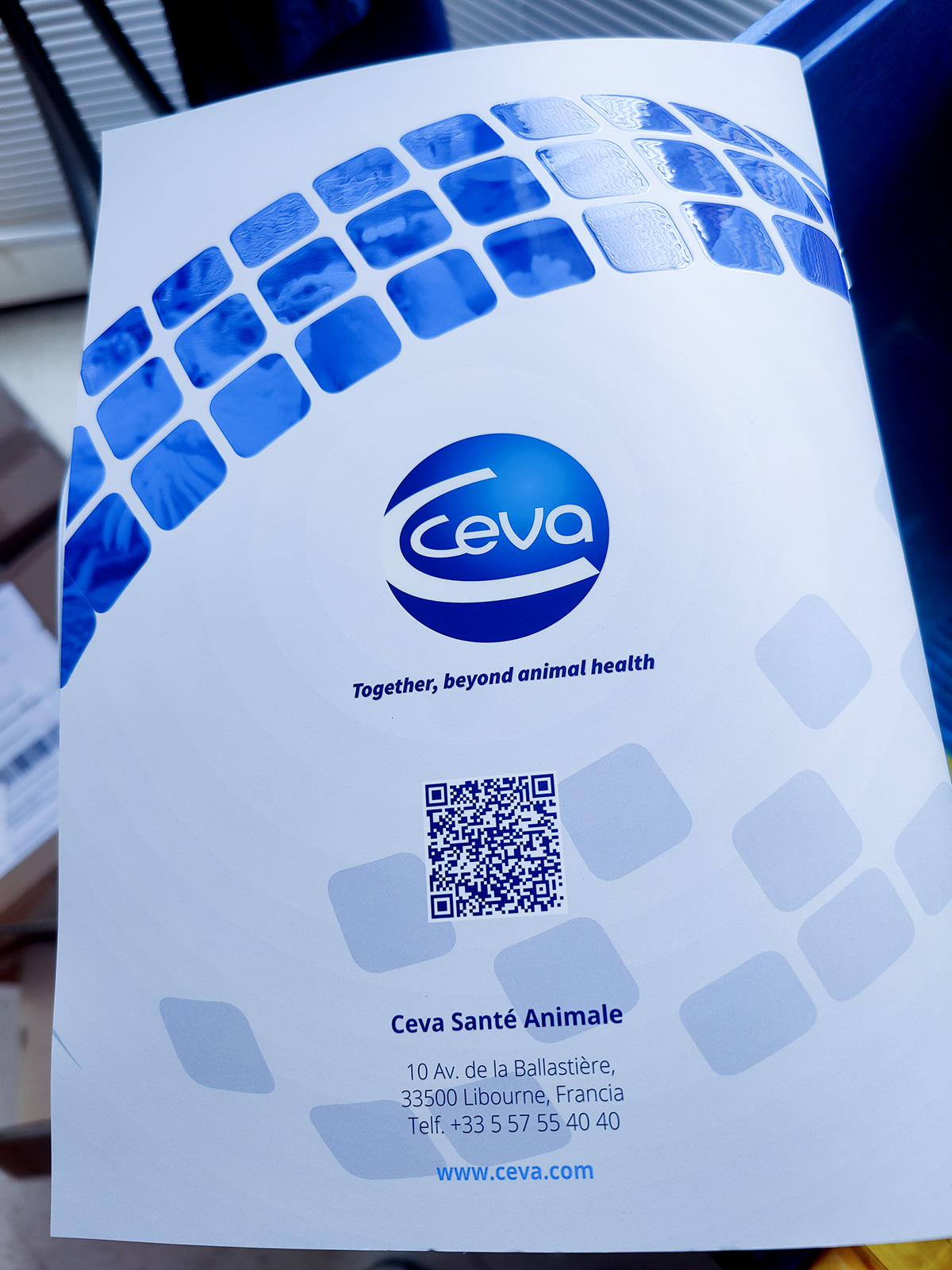 CEVA Salud Animal - Bricks from 2022 (Back)