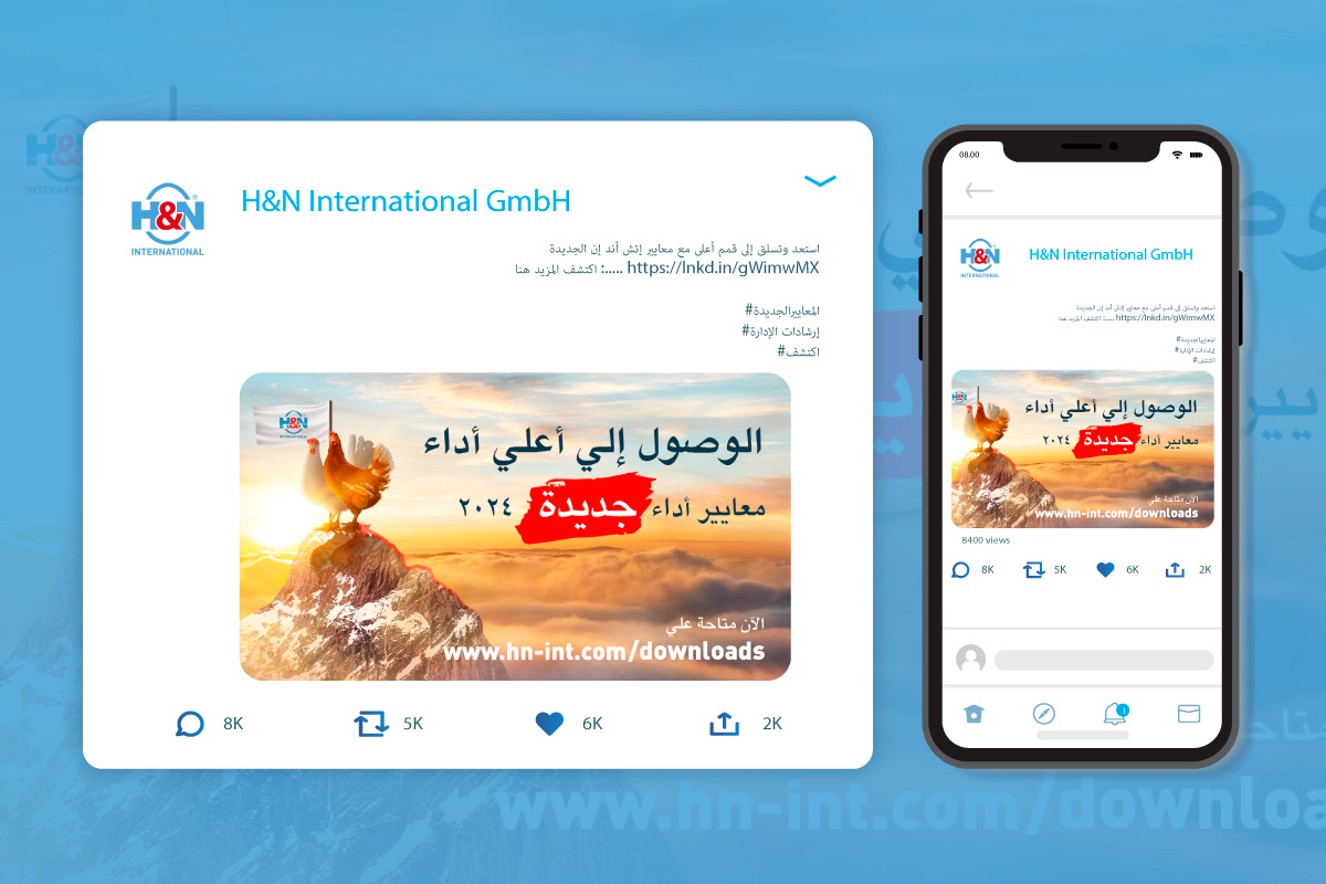 H&N International - Get to top performance (Linkedin, arabic)