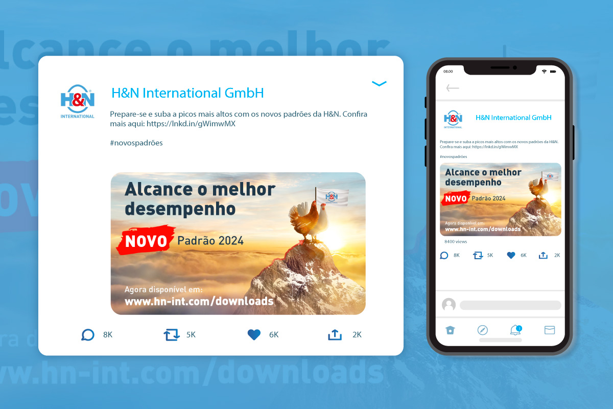 H&N International - Get to top performance (Linkedin, portuguese)