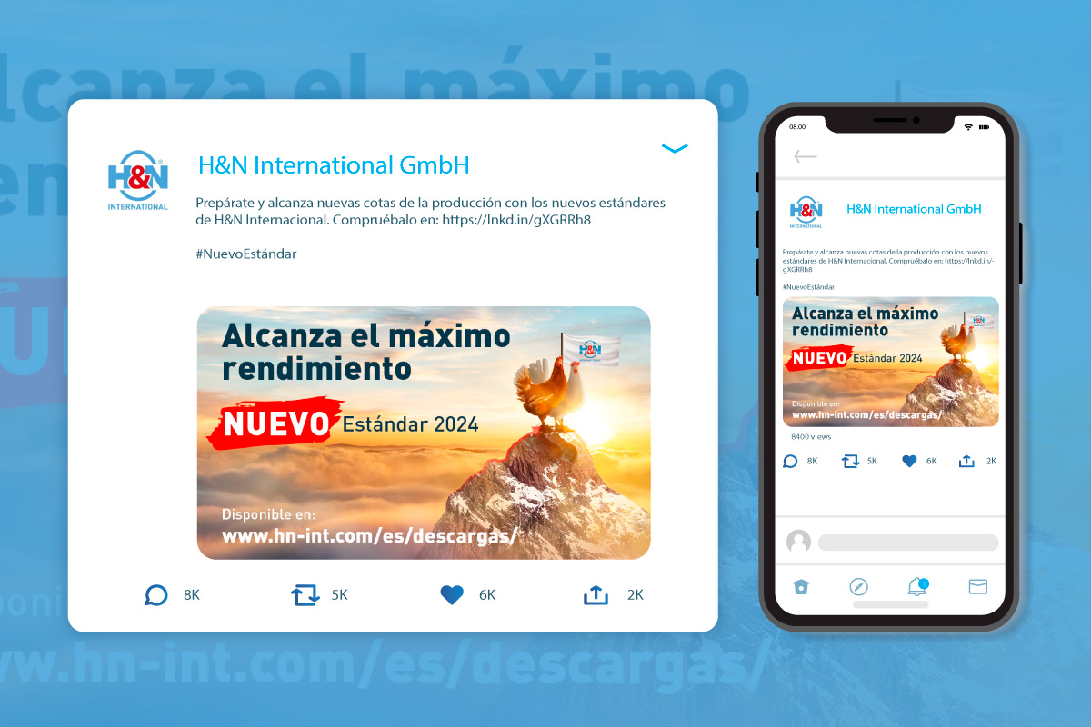 H&N International - Get to top performance (Linkedin, spanish)