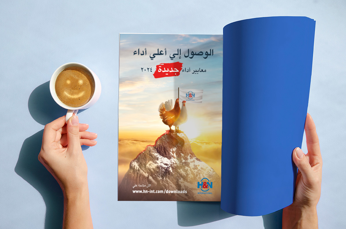 H&N International - Get to top performance (Magazine, arabic)