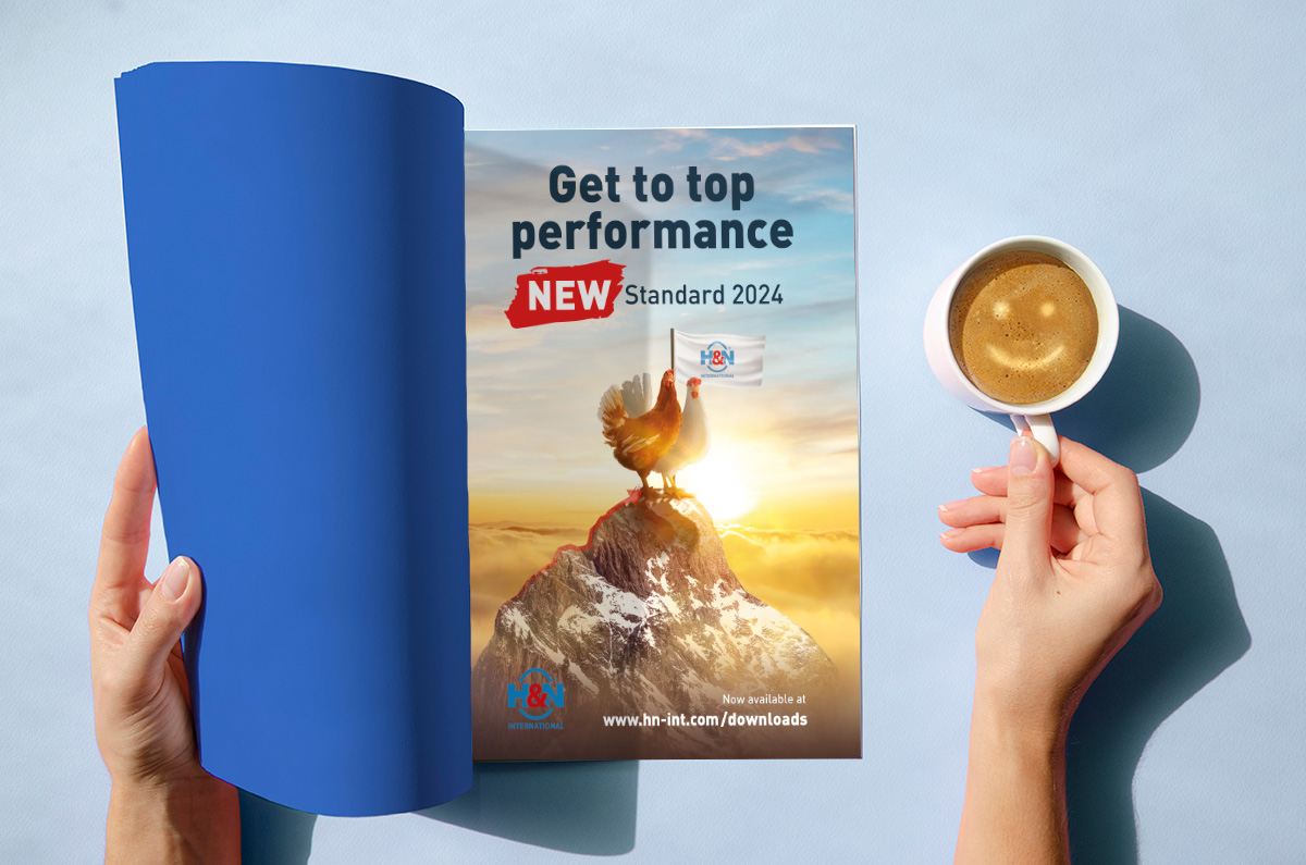 H&N International - Get to top performance (Magazine, english)