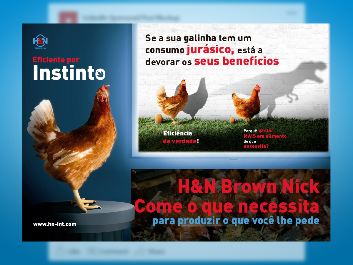 H&N International - Eat what it needs (Brown Nick - Portuguese - Landscape)
