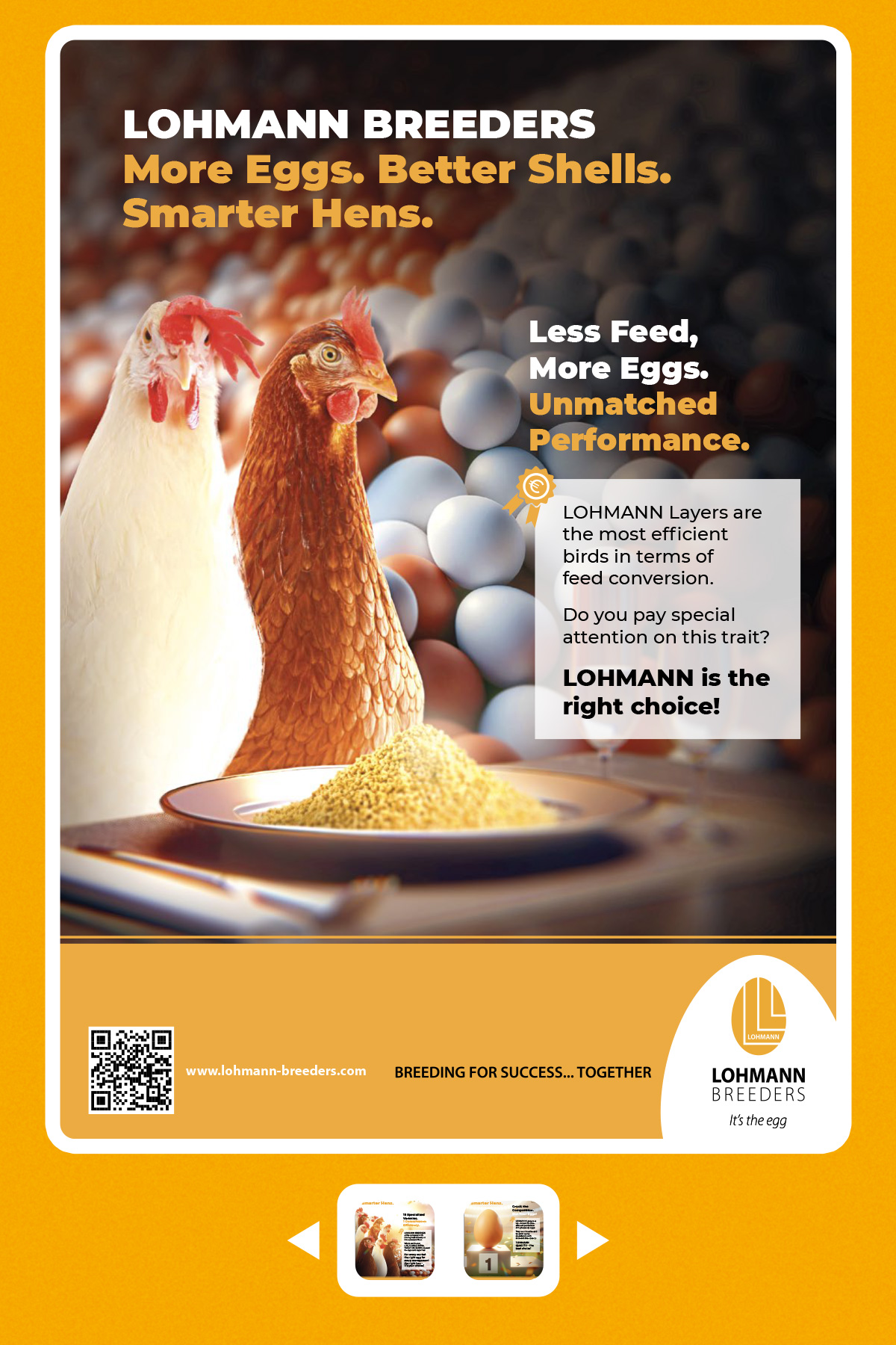 LOHMANN BREEDERS - Less feed more eggs
