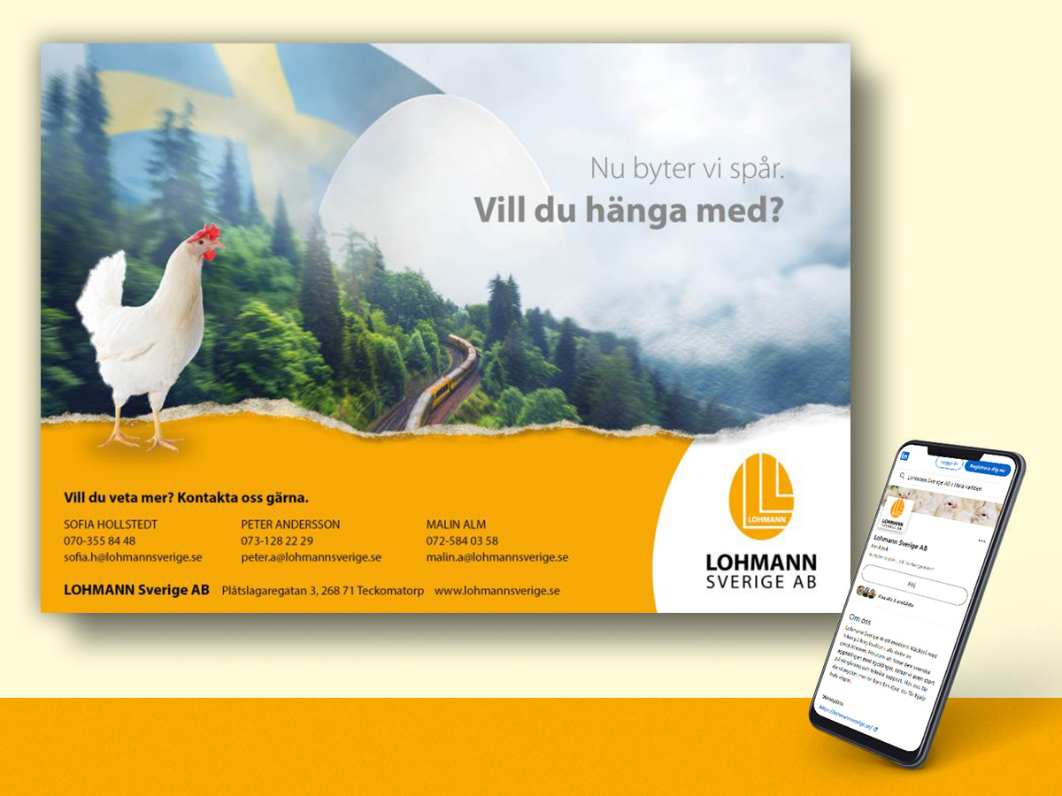 LOHMANN BREEDERS Suecia