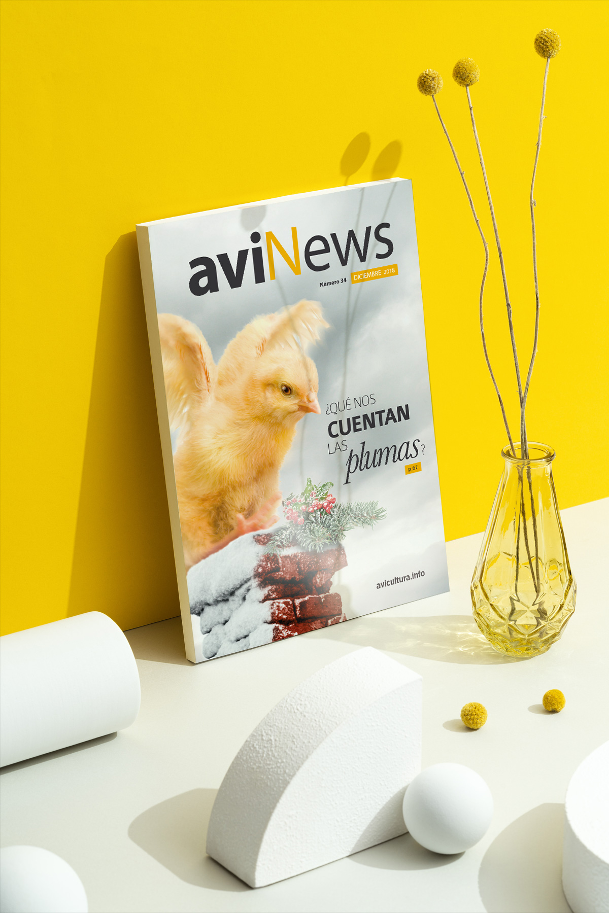 aviNews diciembre 2018