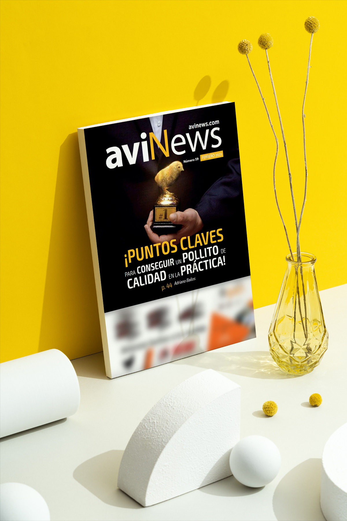 aviNews febrero 2023