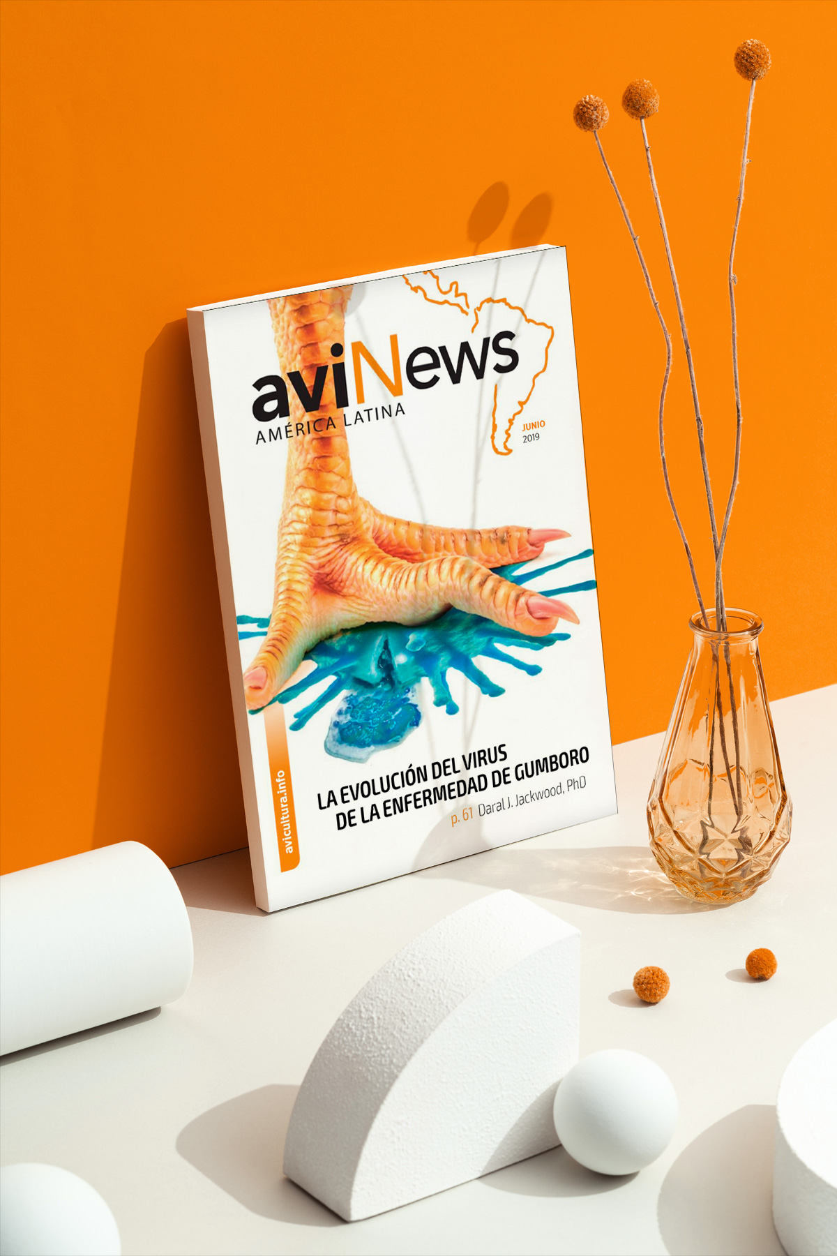 aviNews América Latina junio 2019