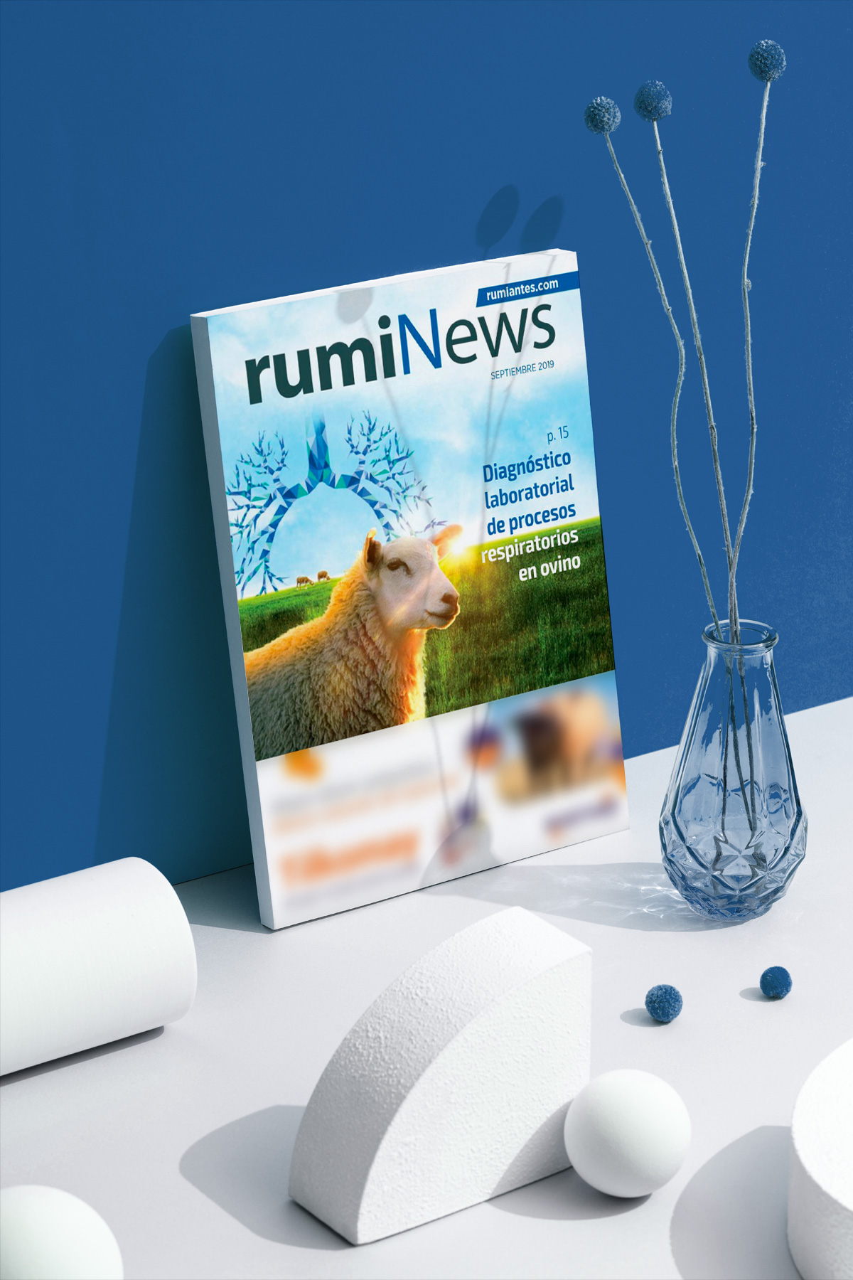 rumiNews septiembre 2019