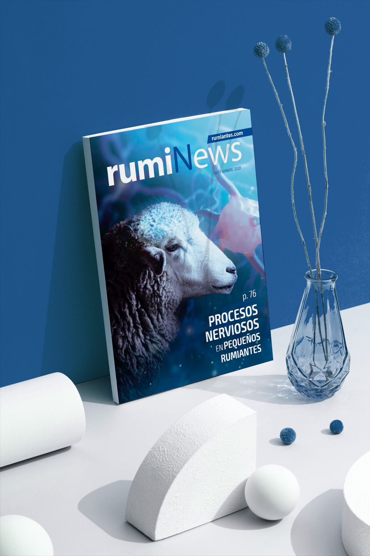 rumiNews septiembre 2021